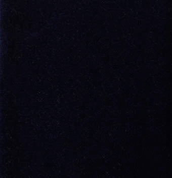 Albert Slipper in Velvet, view 4