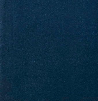 Albert Slipper in Velvet, view 2