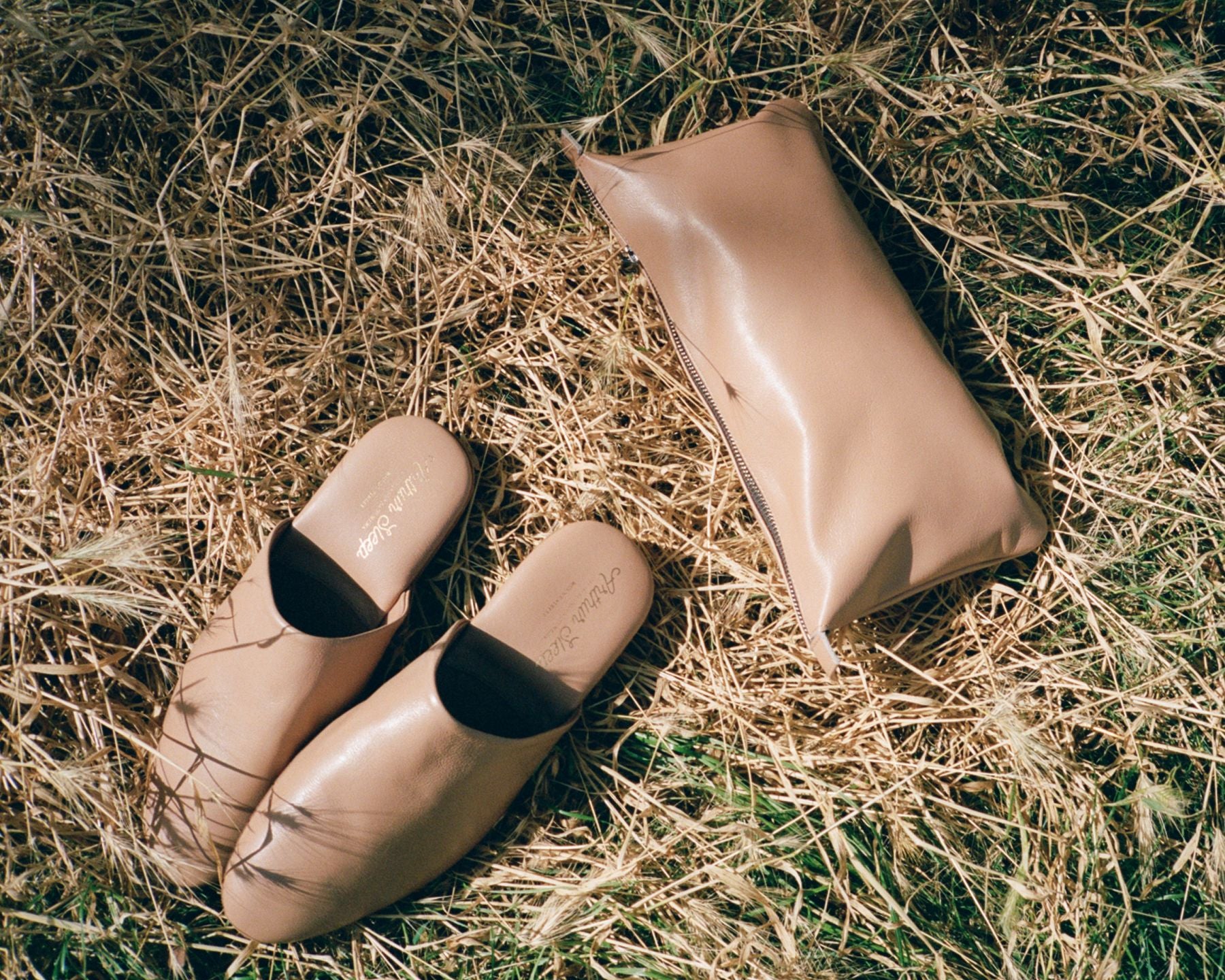 Glide mules in the grass beside their carrier