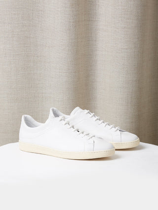 The Shelton Sneaker in White