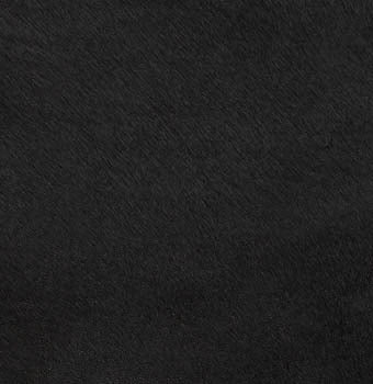 Pony hair in black