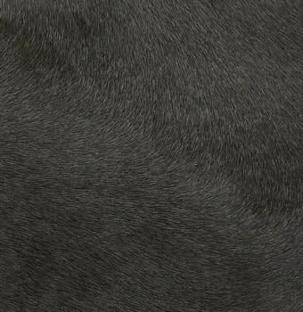 Pony hair in forest green