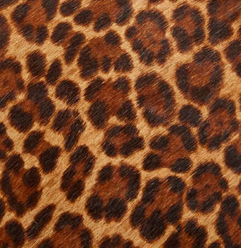 Pony hair in jaguar