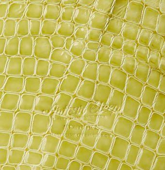 Embossed crocodile calf in lime