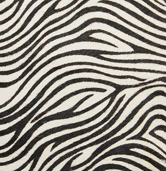 Pony hair in zebra