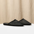 Sheer Black Mesh and Suede Trim